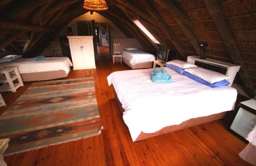 Oyster Bay Bed & Breakfast | Oyster Bay Beach Lodge: Pet-Friendly Oceanfront Retreat