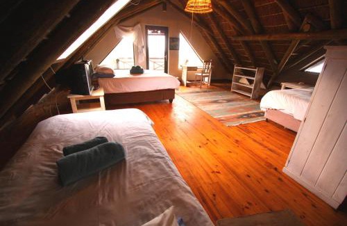 Oyster Bay Bed & Breakfast | Oyster Bay Beach Lodge: Pet-Friendly Oceanfront Retreat