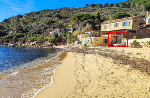 Scaglieri Apartment | Beachfront Bliss at Oyster Beach - Family Friendly Retreat