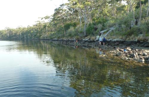 Hastings Cabin | Oyster Shack: Family-Friendly Retreat with Essential Amenities