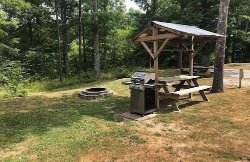 Teresita House | Ozark Getaway! Near Jacks Fork River with Free Parking! Pets Allowed!