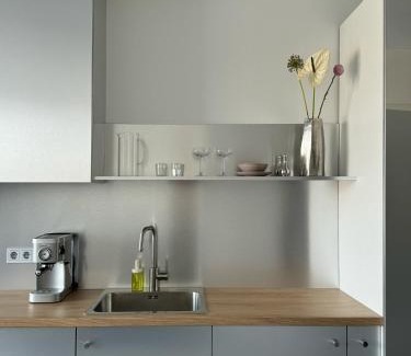 Vilnius city municipality Apartment | Ozas Cozy Studio apartment