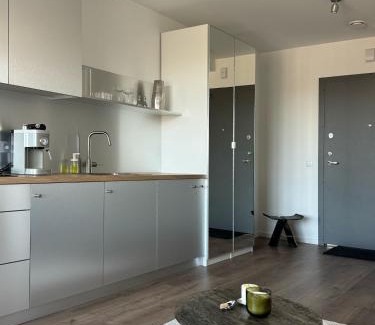 Vilnius city municipality Apartment | Ozas Cozy Studio apartment