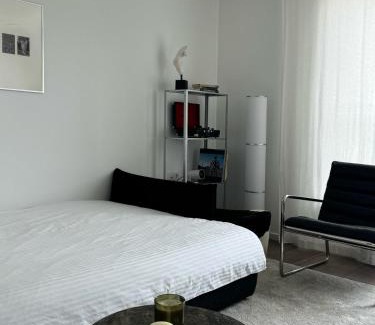 Vilnius city municipality Apartment | Ozas Cozy Studio apartment