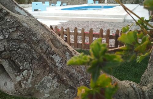 Alcanede House | Experience Pátio do Judeu: Oceanfront Retreat with Pool