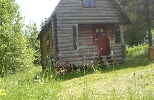 Rouge Other | Pet-Friendly Escape at Pähnamäe Metsamajake with Ocean Views