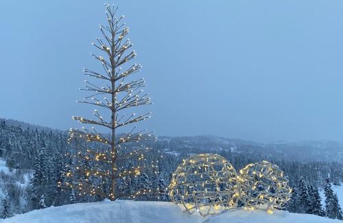 Atra House | Experience Comfort at På Solsiden av Gaustatoppen