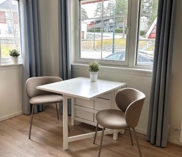 Trondheim Apartment | Påskeferie! Fin og nyoppusset studioleilighet for to - gratis parkering og el-lading