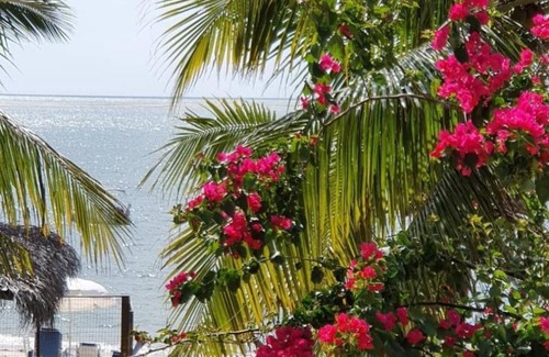 Goiana House | Beachfront Bliss: Pet-Friendly Getaway with Breakfast