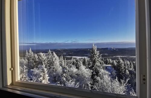 Syote Apartment | Family-Friendly Retreat at Pöllönpesä Iso-Syöte, Rated 9/10
