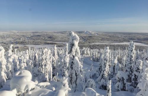 Syote Apartment | Family-Friendly Retreat at Pöllönpesä Iso-Syöte, Rated 9/10