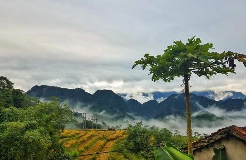 Pu Long Nature Reserve Apartment | Discover Pù Luông Khăn Piêu Homestay: Family-Friendly Retreat