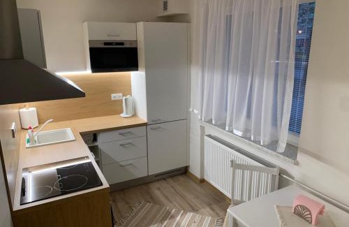 Znojmo Apartment | Perfectly Located Apartment No.8 in Serene Park Setting