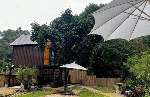 Chang Klang House | Pet-Friendly Family Retreat at P.P. Hill & House