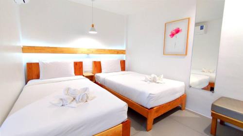 Nakhon Si Thammarat Hotel | Discover P2 by Passion: Your Perfect Retreat in Wang Rak