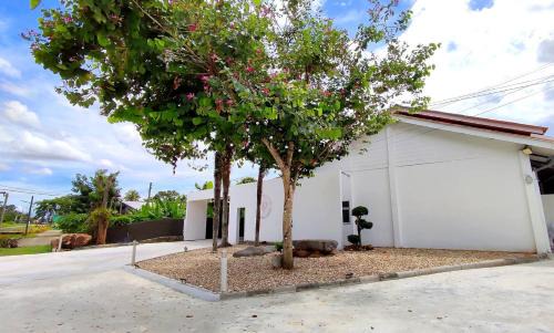 Nakhon Si Thammarat Hotel | Discover P2 by Passion: Your Perfect Retreat in Wang Rak