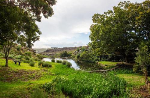 Thaba Chweu Cabin | Discover Paardeplaats Nature Retreat: Family-Friendly Oasis