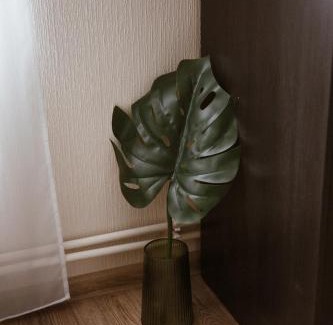 Cesis Apartment | Pablo Apartment Cesis