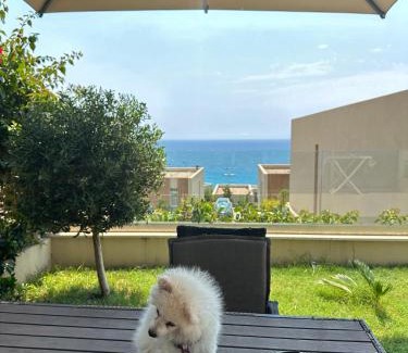 Jala Villa | Oceanfront Pacific 2 Bedroom Villa with Stunning Views