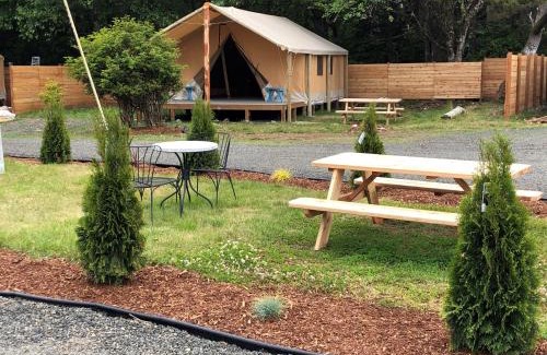 Copalis Beach Other | Pet-Friendly Campsites in Copalis Beach, WA for Families