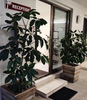 Marcoola Hotel | Experience Comfort at Pacific Palms Motor Inn - 4 Star Hotel