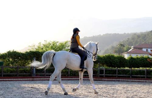 Atakoy Hotel | Discover Padok Premium Hotel & Stables with Pool and Breakfast