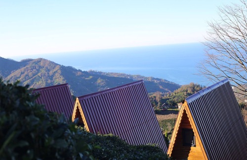 Hopa Hotel | Pagen Bungalov