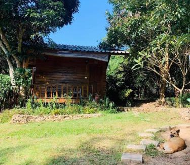 Pai House | Budget-Friendly Pai Yard Guest House with Kitchen Access