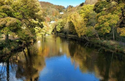 Matlock Bath House | Inviting Painter's Cottage: Pet-Friendly Retreat with Spa