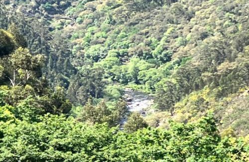 Alvarenga House | Discover Paiva Valley: Family-Friendly Retreat with Kitchen