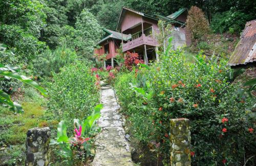 Gayo Lues House | Pak Mus Guest House Ketambe - 0813-7072-1793