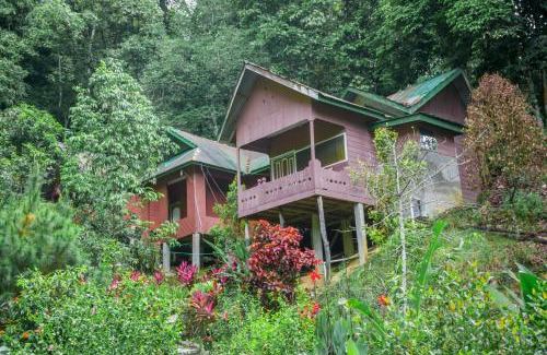 Gayo Lues House | Pak Mus Guest House Ketambe - 0813-7072-1793