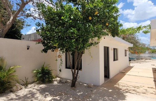 Centro Apartment | Pakaal Muliix