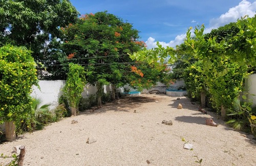 Centro Apartment | Pakaal Muliix