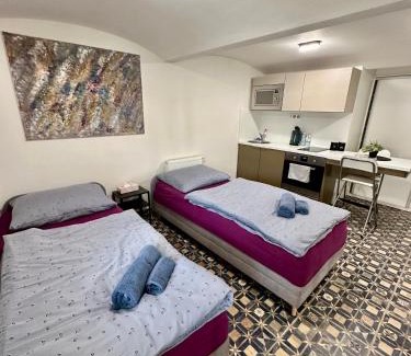 Brno-stred Apartment | Discover Palac Anežka A1 with 8.8/10 Guest Ratings