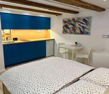 Brno-stred Apartment | Palac Anežka D1