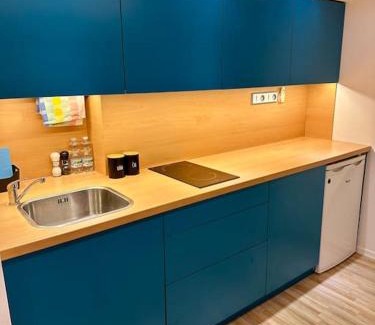 Brno-stred Apartment | Palac Anežka D1