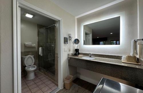 Southeast Houston Hotel | Budget-Friendly Stay at Palace Inn I-45 & Bellfort