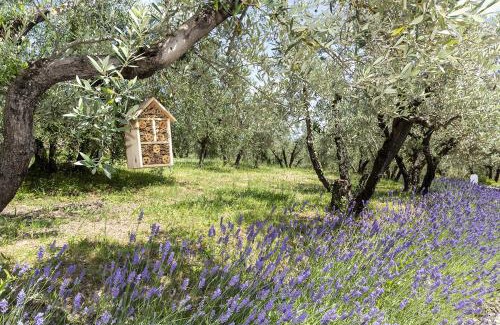 Figline e Incisa Valdarno Other | Palagina Il Borgo Agricolo