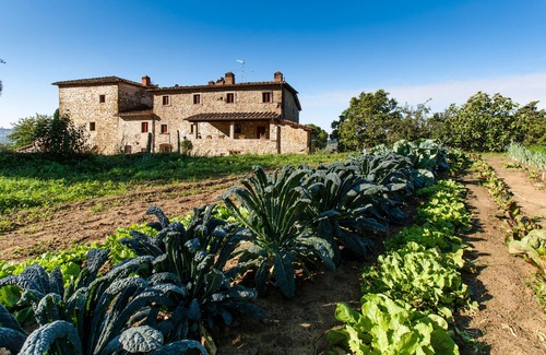 Pelago Apartment | Unforgettable Stay at Palaia Farm's Focolare Accommodation