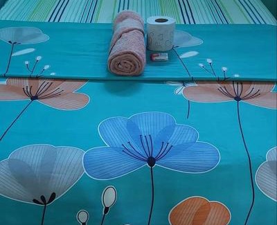 Acapetahua Bed & Breakfast | Budget-Friendly Stay at Palapa Abraham with Pet Amenities