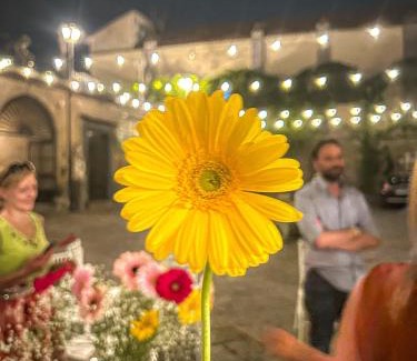 Caivano House | Palazzo Capece: Family-Friendly Retreat with 9.7/10 Rating