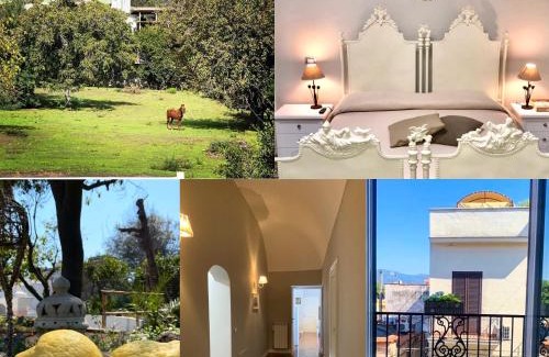 Mount Vesuvius - Pompei Bed & Breakfast | Historic Palazzo D'Amaro: Pet-Friendly Retreat with Spa