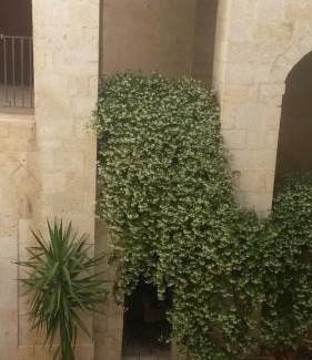 Rutigliano House | Palazzo Moccia: Highly Rated Family & Pet-Friendly Stay