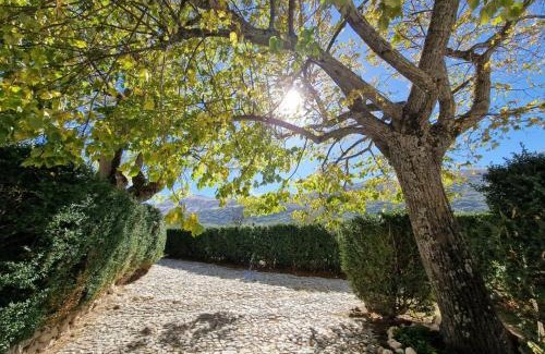 Cavalletto Bed & Breakfast | Palazzo Palitti: Exceptional Stay for Families & Pets
