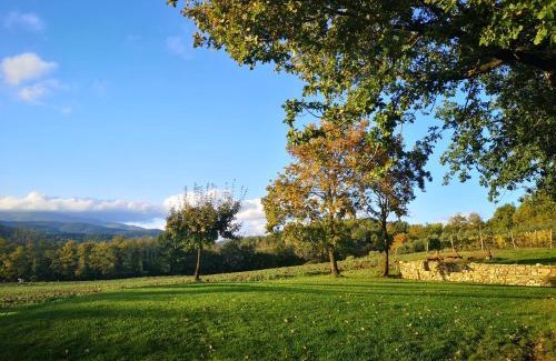 Tavernelle House | Idyllic Palazzolo Resort in Anghiari - Pool & Family Friendly