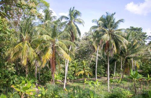 Necocli Apartment | Ideal Palm House Getaway Just 150m from the Sea