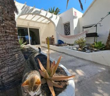 Bahia Calma Apartment | Explore Palm Point: Oceanfront Retreat with Pool & Views