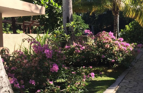 Petionville Apartment | Relax at Palm Residence: Family-Friendly with Pool Access