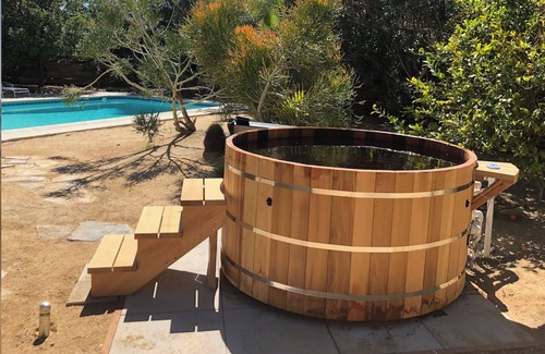 Racquet Club Estates House | Discover Palm Springs Architectural: Pet-Friendly Oasis